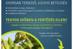 Tájékoztatás