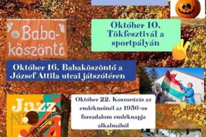 Tájékoztatás
